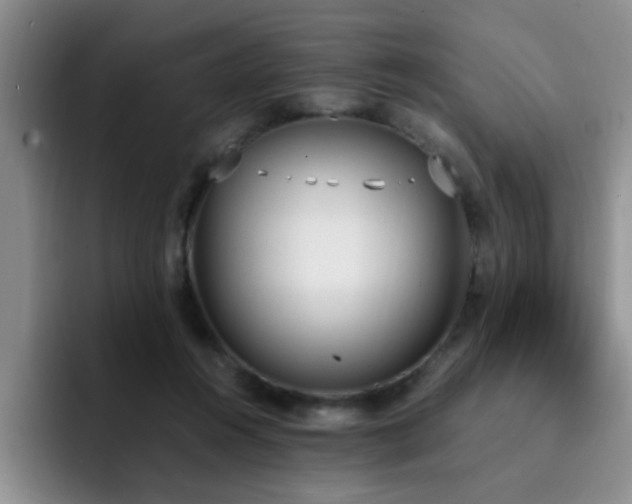 X0000092330360200709141423