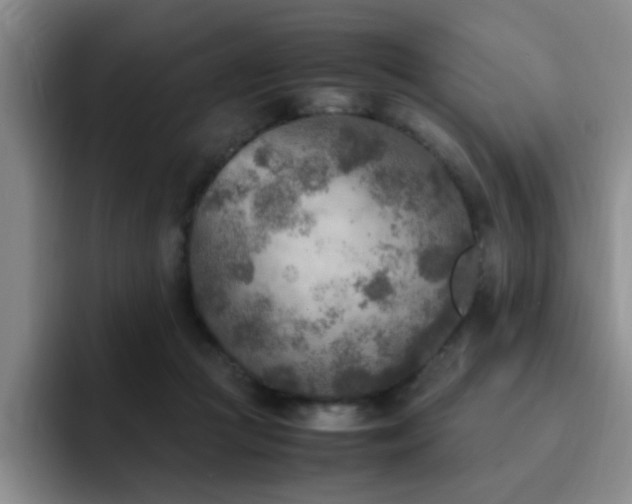X0000092330361200709141423