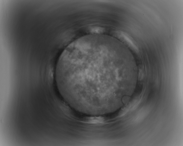 X0000092330363200709141423