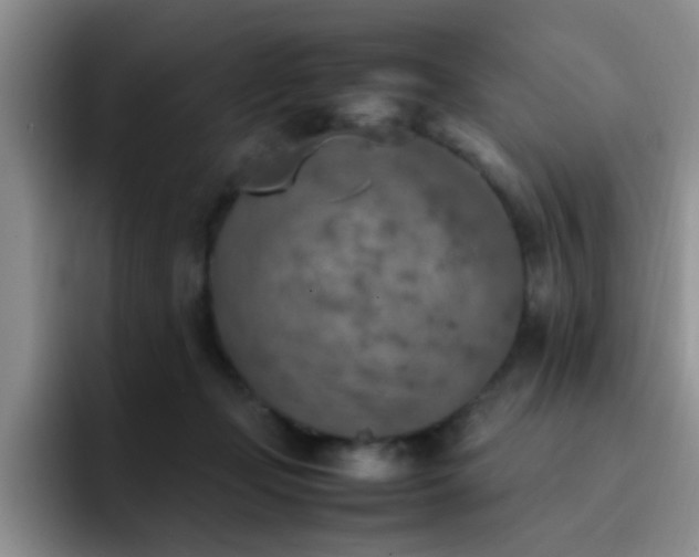 X0000092330365200709141423