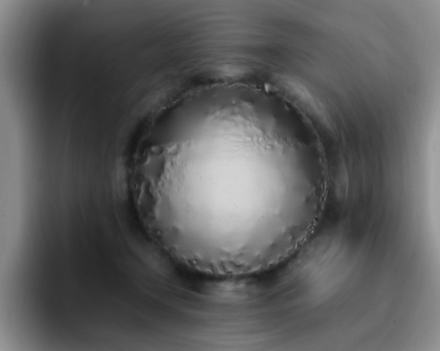 X0000092330366200709141423