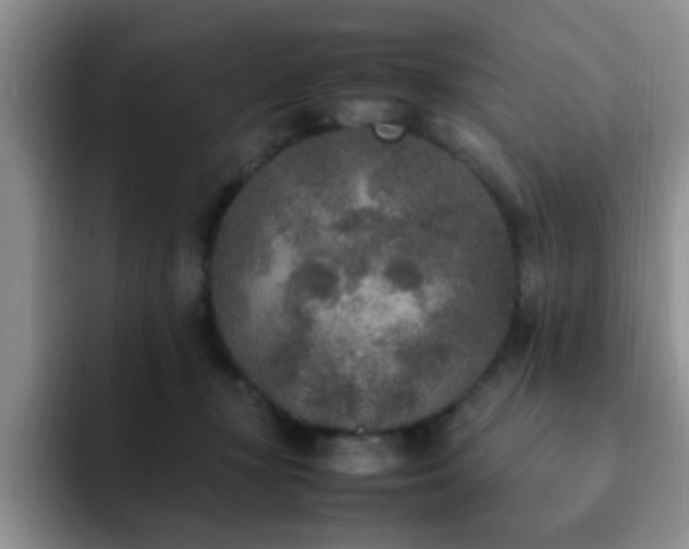 X0000092330367200709141423