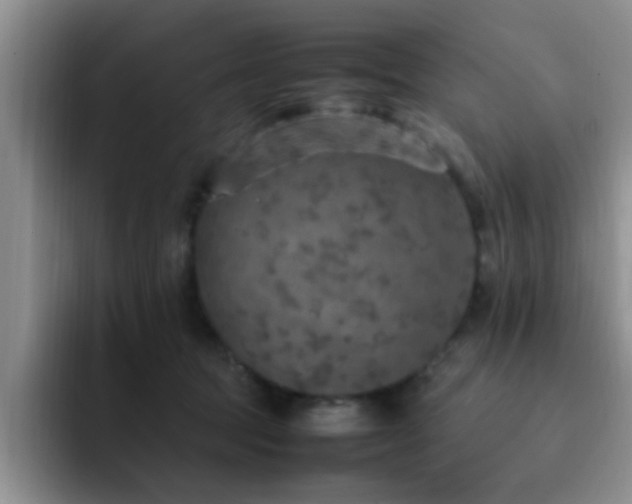 X0000092330369200709141423