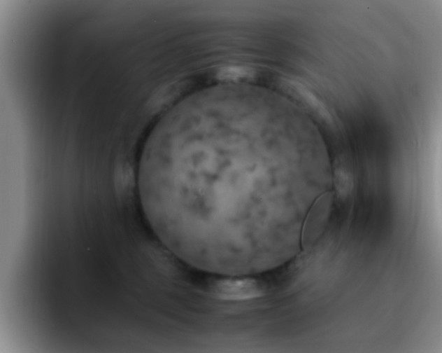 X0000092330375200709141423