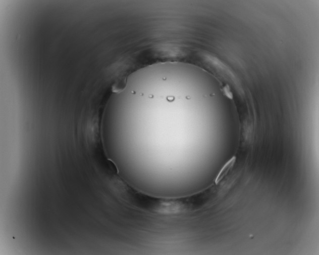 X0000092330376200709141423