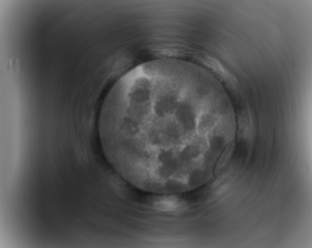 X0000092330377200709141423