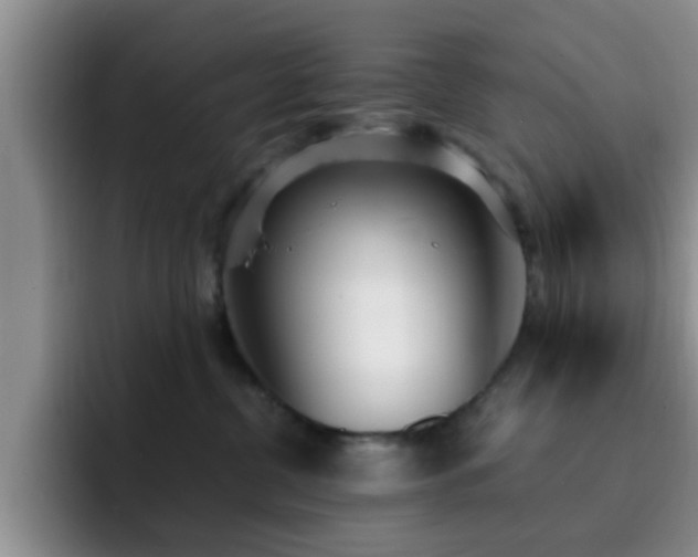 X0000092330380200709141423