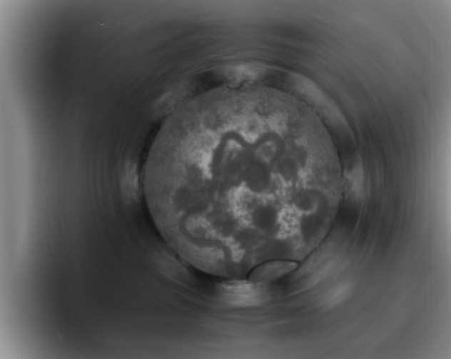 X0000092330381200709141423
