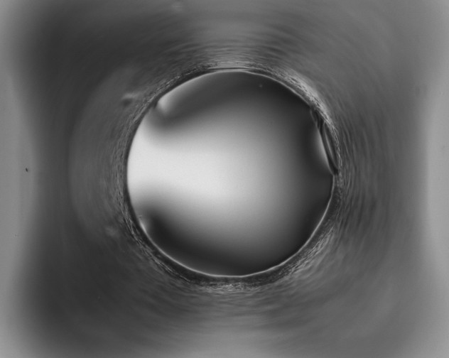 X0000092330385200709141423