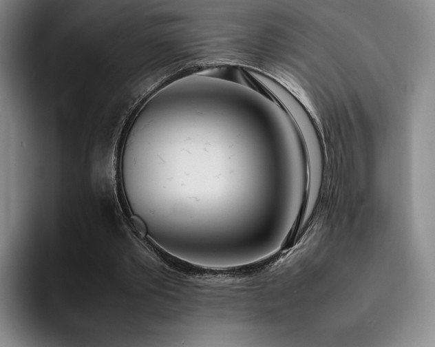 X0000092330389200709141423