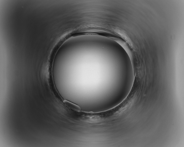 X0000092330395200709141423