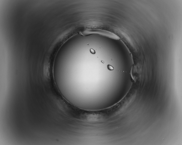 X0000092330400200709141422