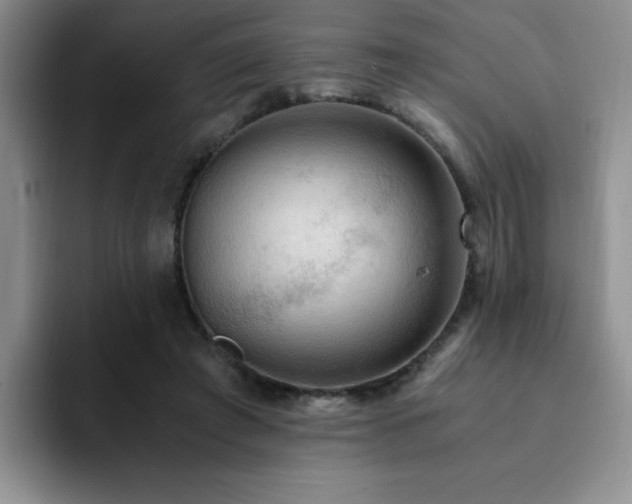 X0000092330401200709141422