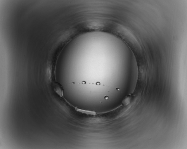 X0000092330404200709141422