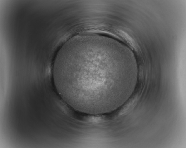 X0000092330405200709141422