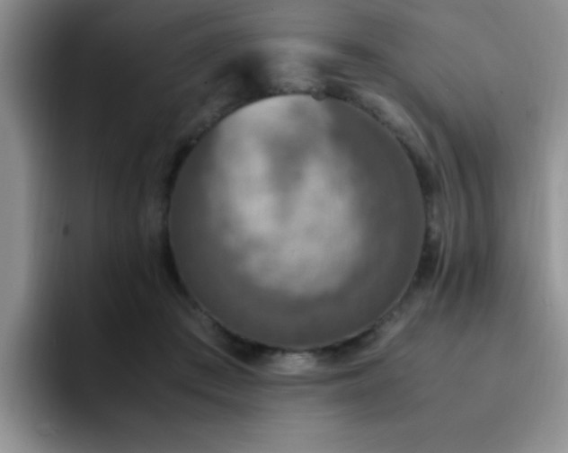 X0000092330409200709141422