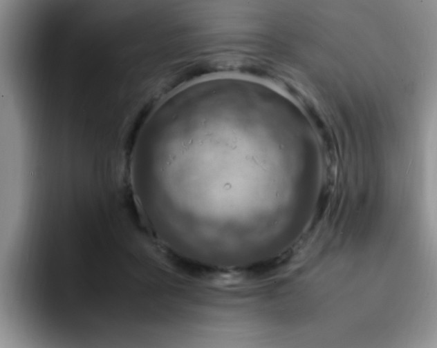 X0000092330411200709141422
