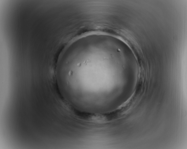 X0000092330415200709141422