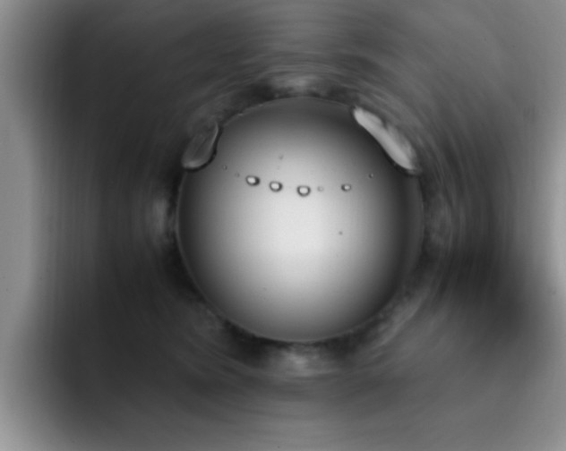 X0000092330420200709141422