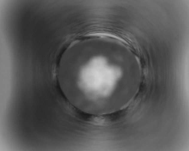 X0000092330423200709141422