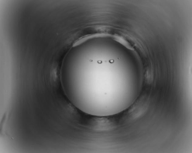 X0000092330424200709141422