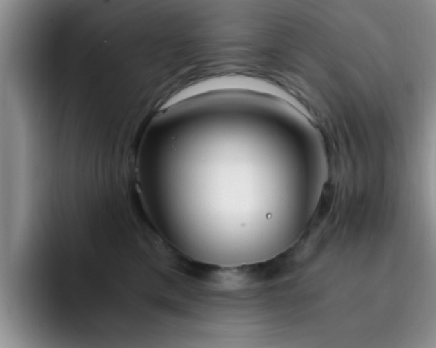 X0000092330425200709141422