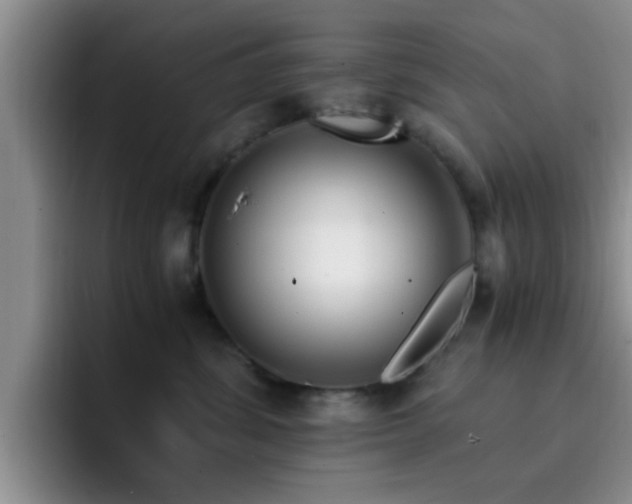 X0000092330428200709141422