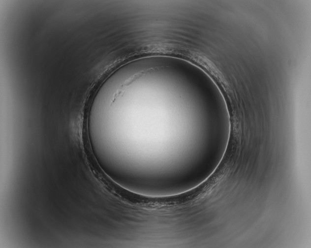 X0000092330434200709141421