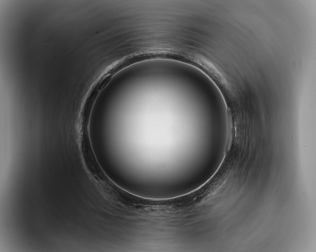X0000092330436200709141421