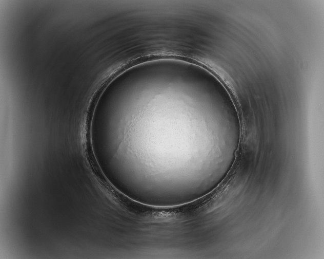 X0000092330437200709141421