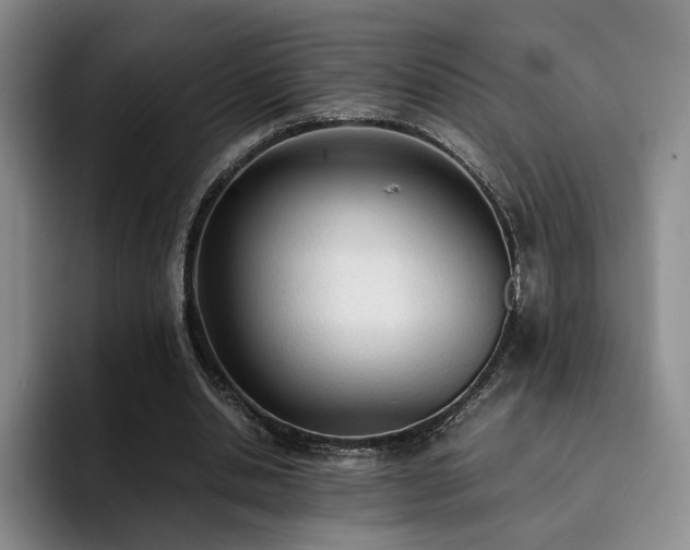 X0000092330438200709141421