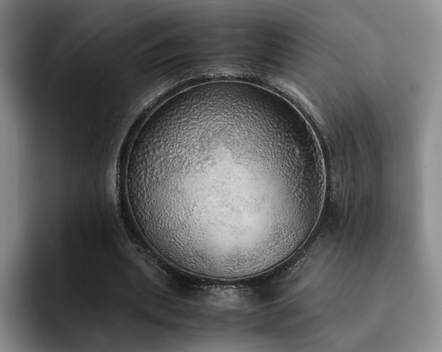 X0000092330439200709141421
