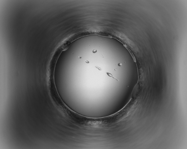 X0000092330440200709141422