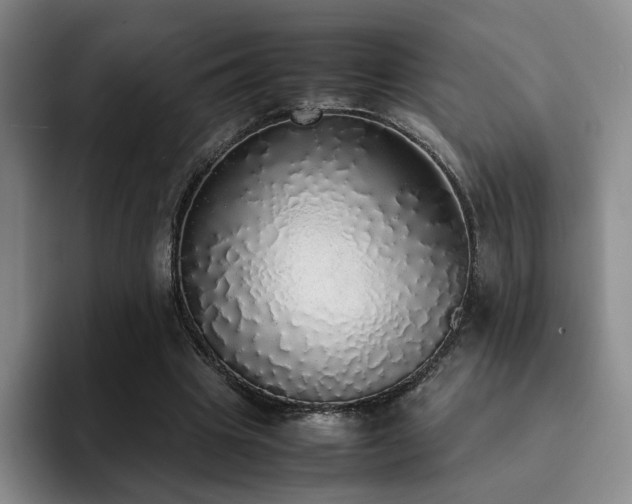 X0000092330441200709141422