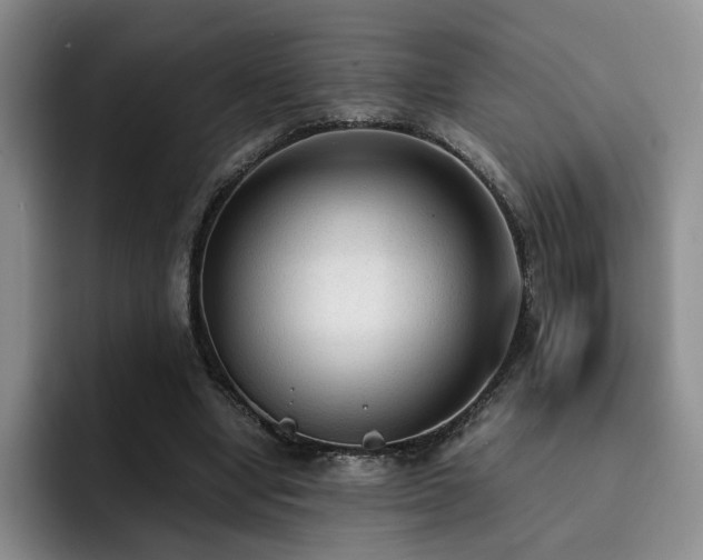 X0000092330442200709141422