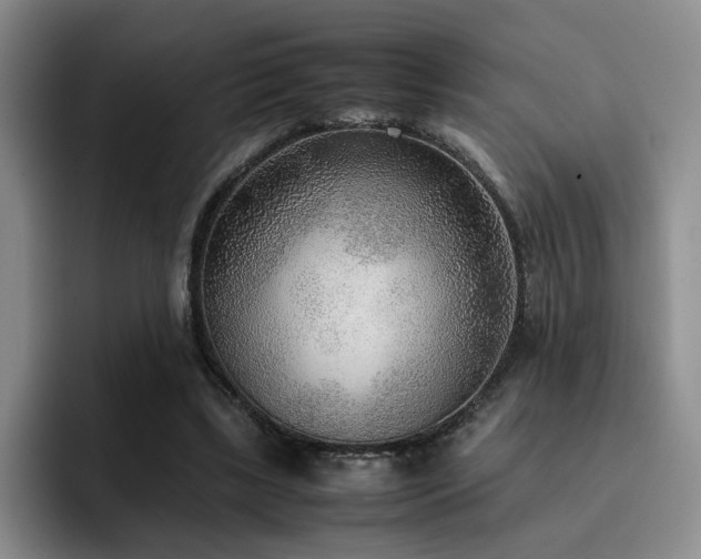 X0000092330443200709141422