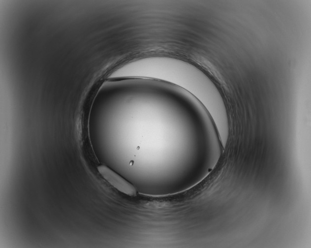 X0000092330444200709141422
