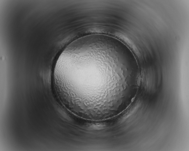 X0000092330445200709141422