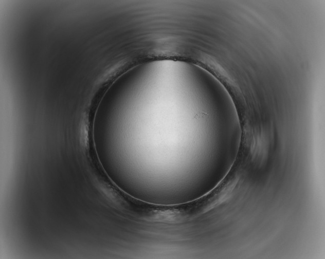 X0000092330446200709141422