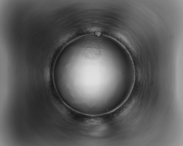 X0000092330447200709141422