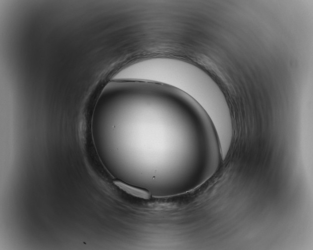 X0000092330448200709141422