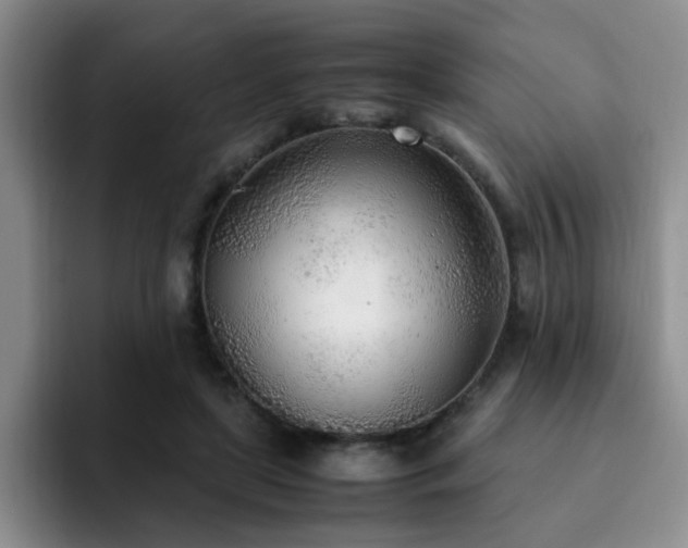 X0000092330451200709141422