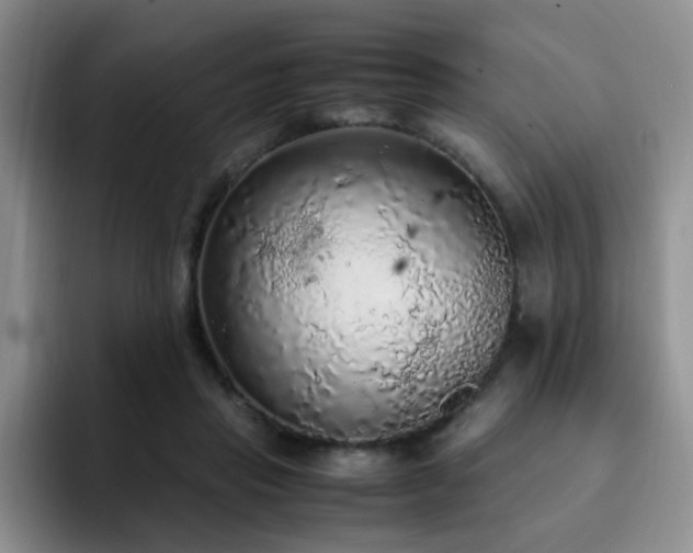 X0000092330453200709141422