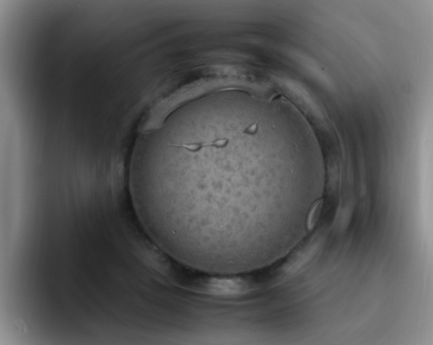 X0000092330457200709141422