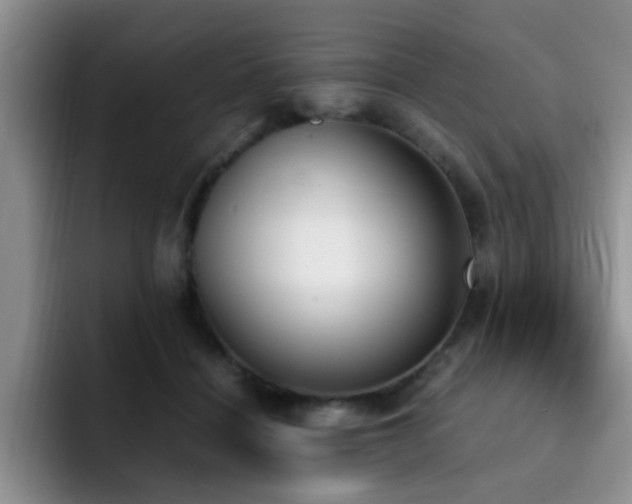 X0000092330460200709141422
