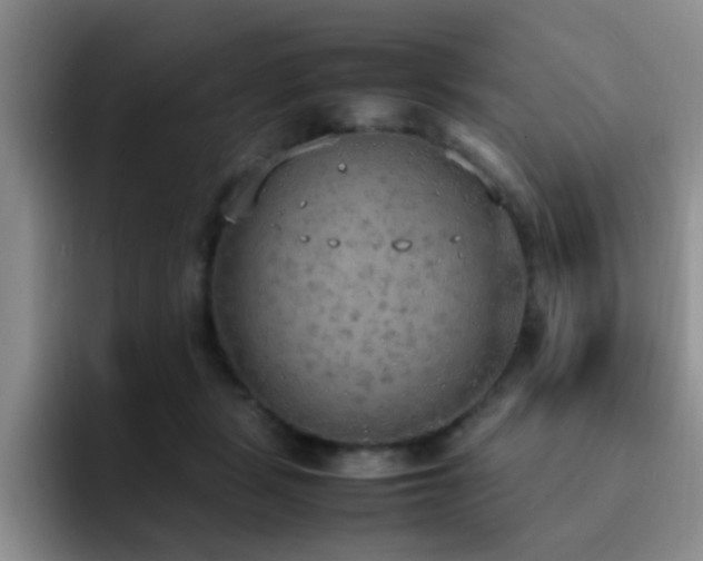 X0000092330461200709141422