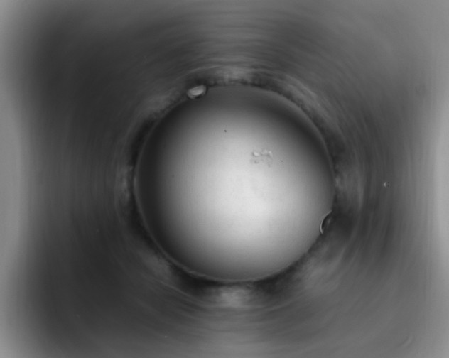 X0000092330462200709141422