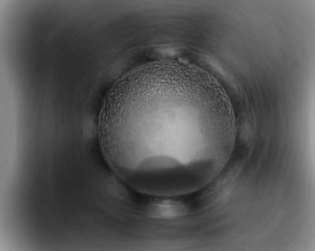 X0000092330467200709141422