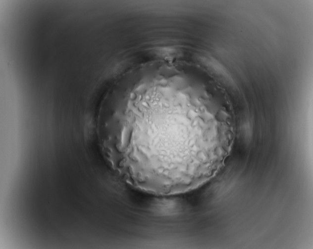 X0000092330469200709141422