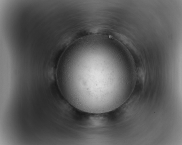 X0000092330470200709141422